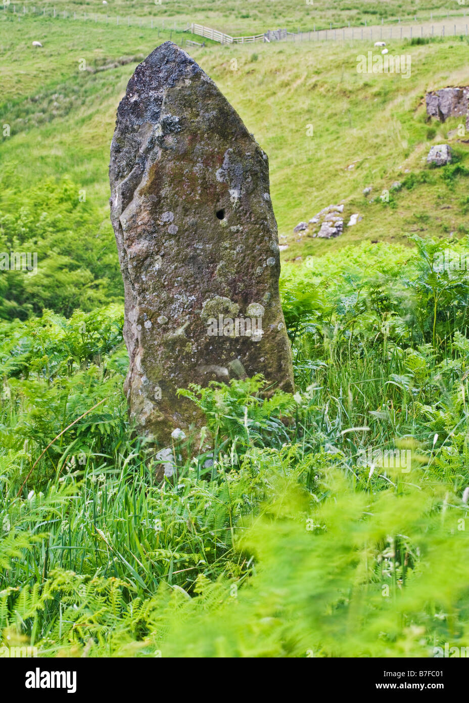 Standing stone near Standingstone Clints and the village of Stonehaugh