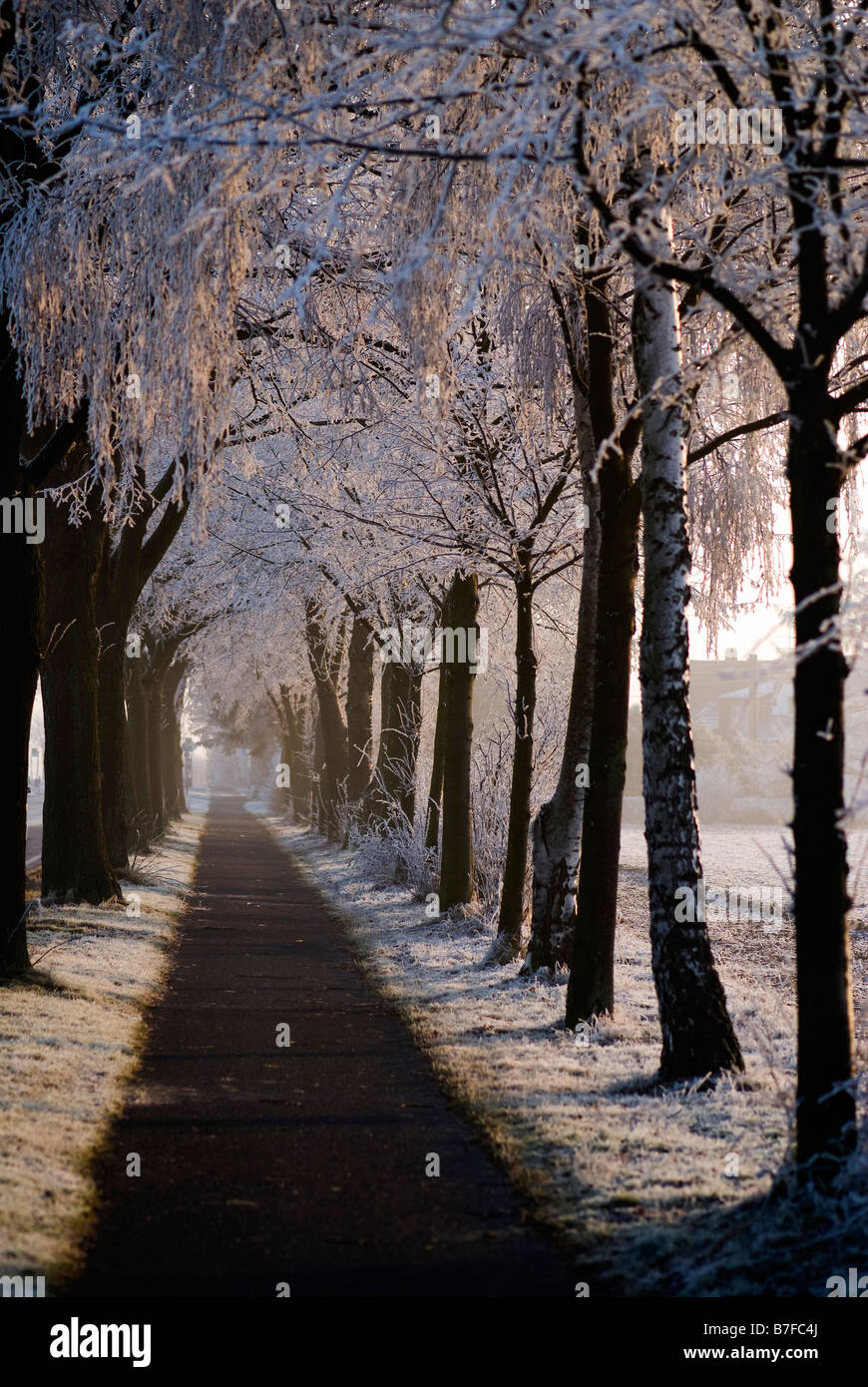 Street in winter Stock Photo