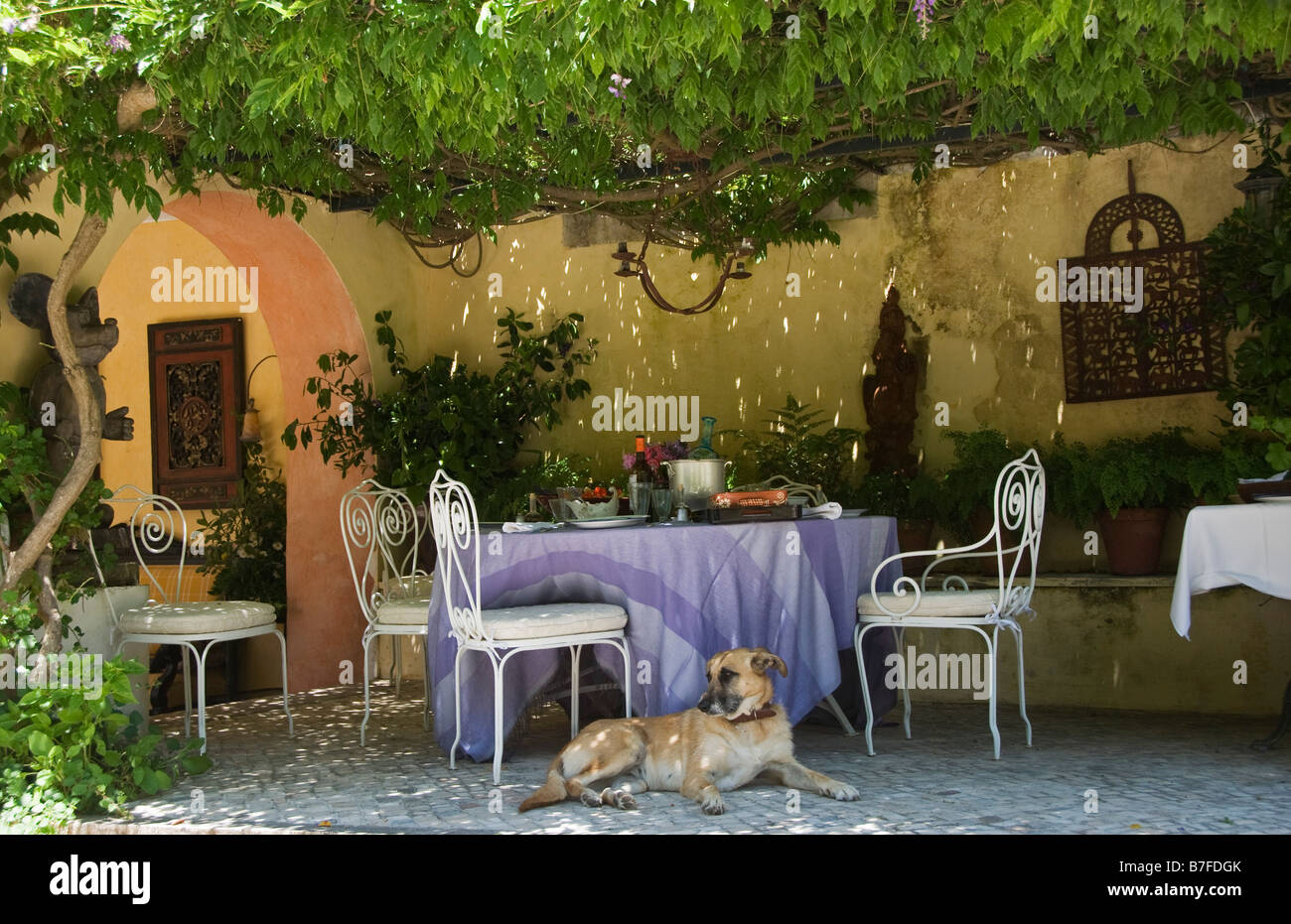 Summer in Portugal. A table laid for lunch outside, in the shade of a huge wisteria Stock Photo