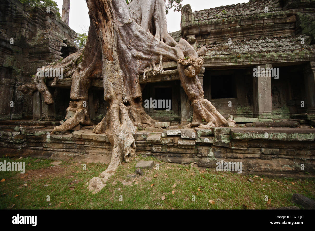 Angor wat temples hi-res stock photography and images - Alamy