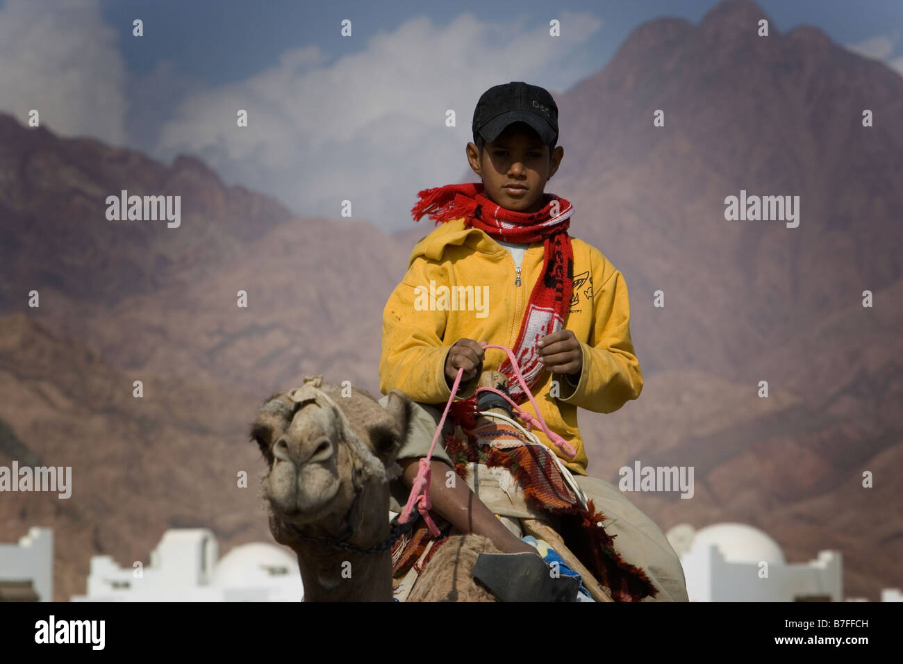 Boy riding camel hi-res stock photography and images - Alamy