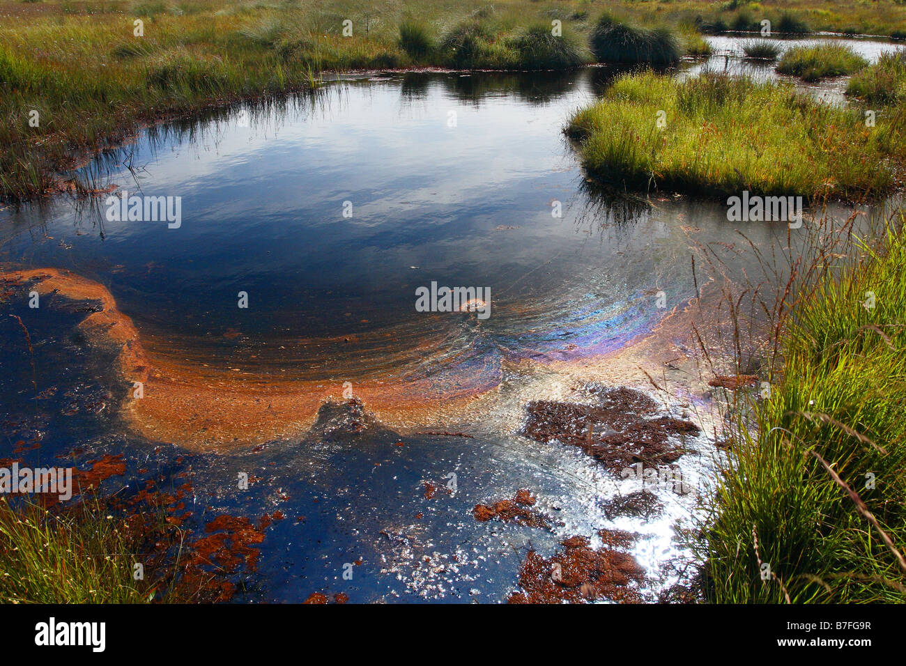 Acid pond lowland bog Stock Photo