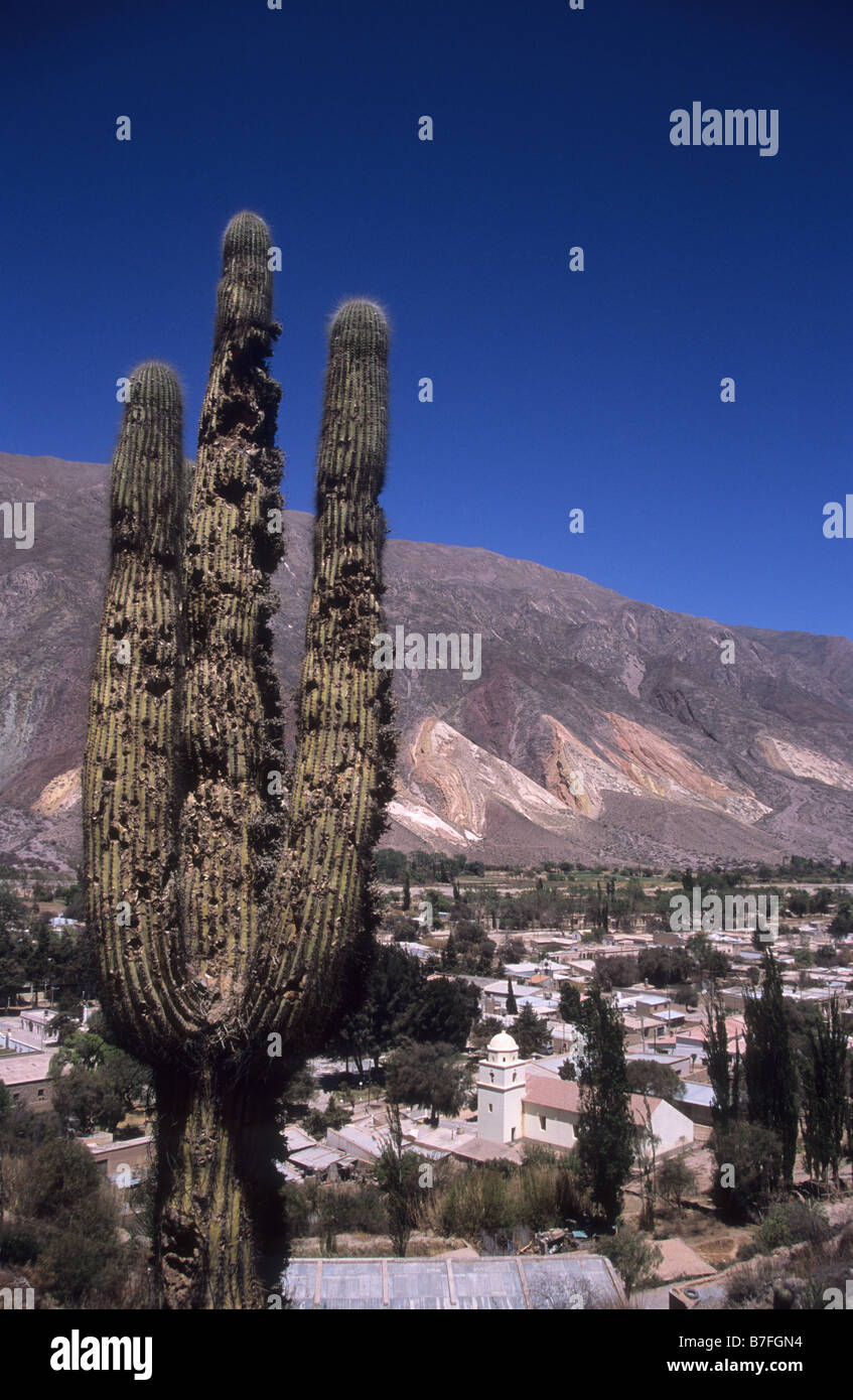 Cardon cactus, Maimara village and 'The Painters Palette ' / ' La Paleta del Pintor ' flatiron rock formations, Quebrada de Humahuaca, Argentina Stock Photo