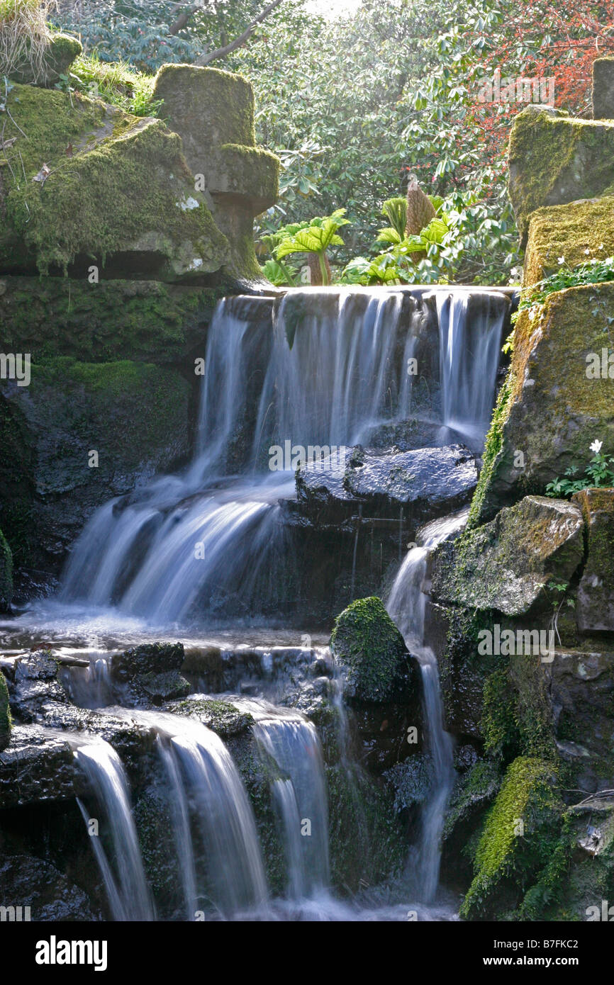 in spring Stock Photo