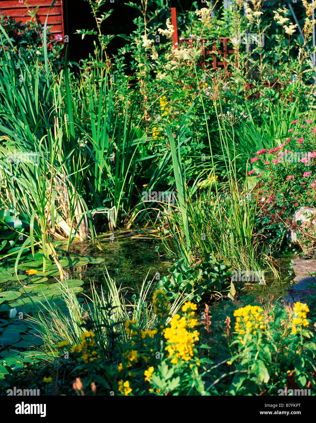 A WILDLIFE POND WITH ATTACHED BOGGY AREA MAXIMISES THE HABITAT FOR