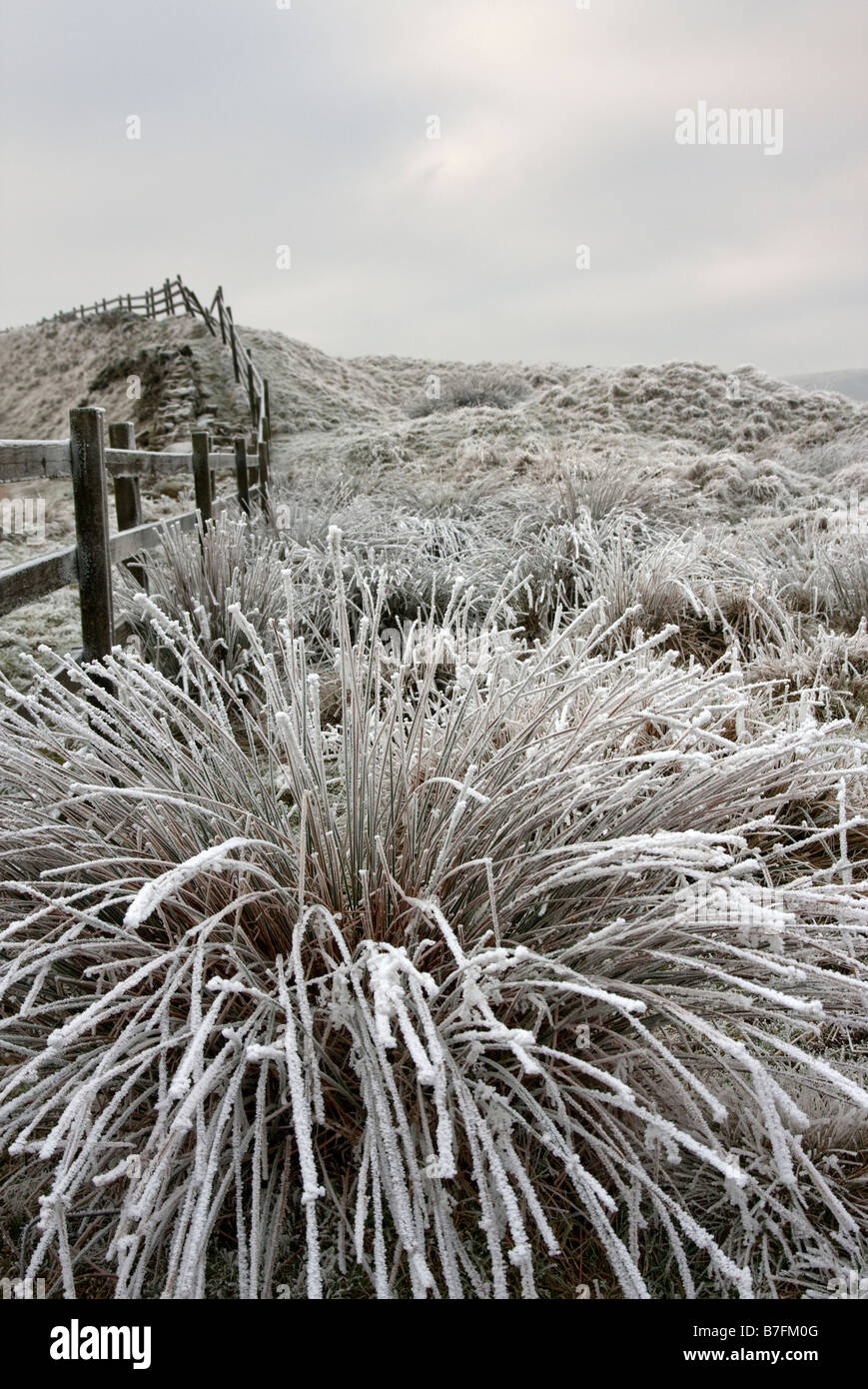 Frost covered grass on winter hi-res stock photography and images - Alamy