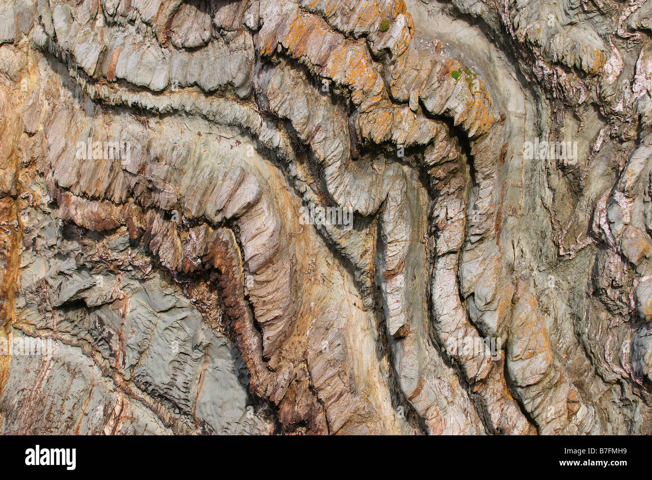 Hard Precambrian Rocks Precambrian rocks hi-res stock photography and images - Alamy