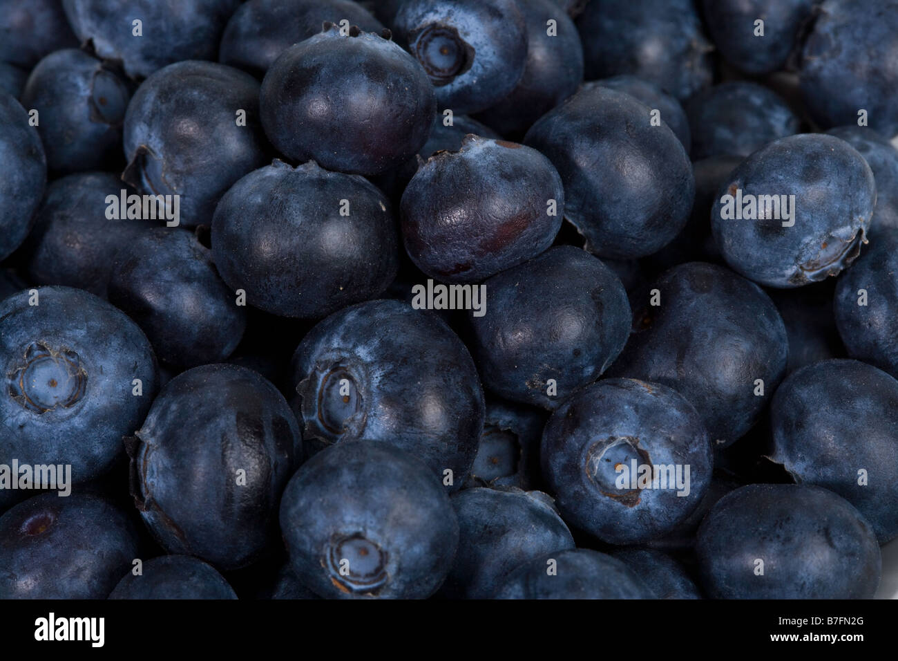 Close up of blueberries Stock Photo