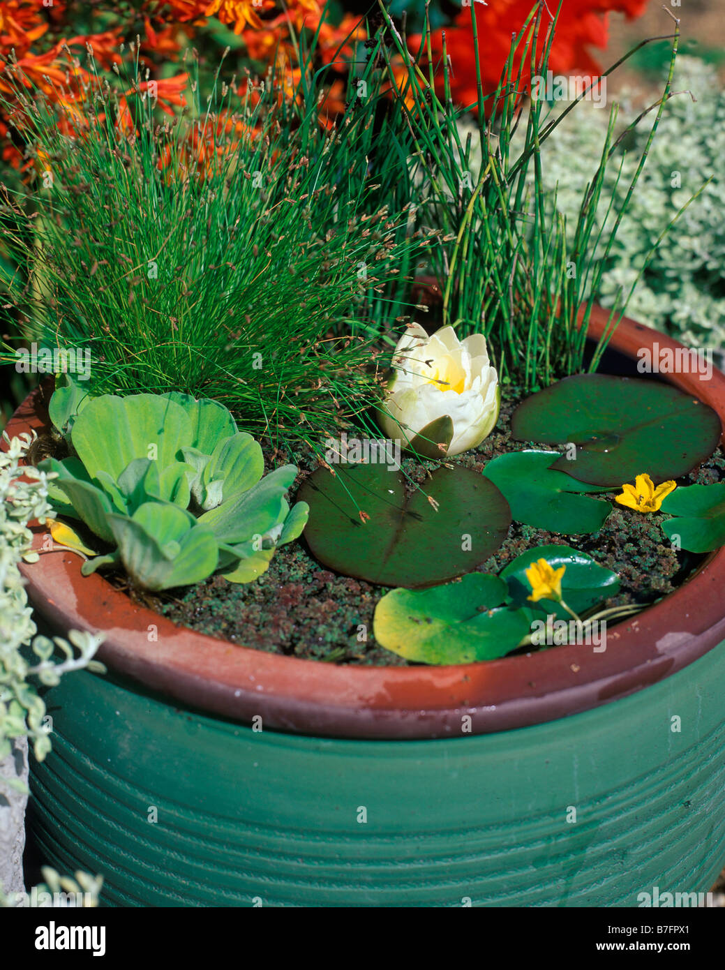 PATIO WATER FEATURE USING FREE STANDING CERAMIC POT Stock Photo Alamy