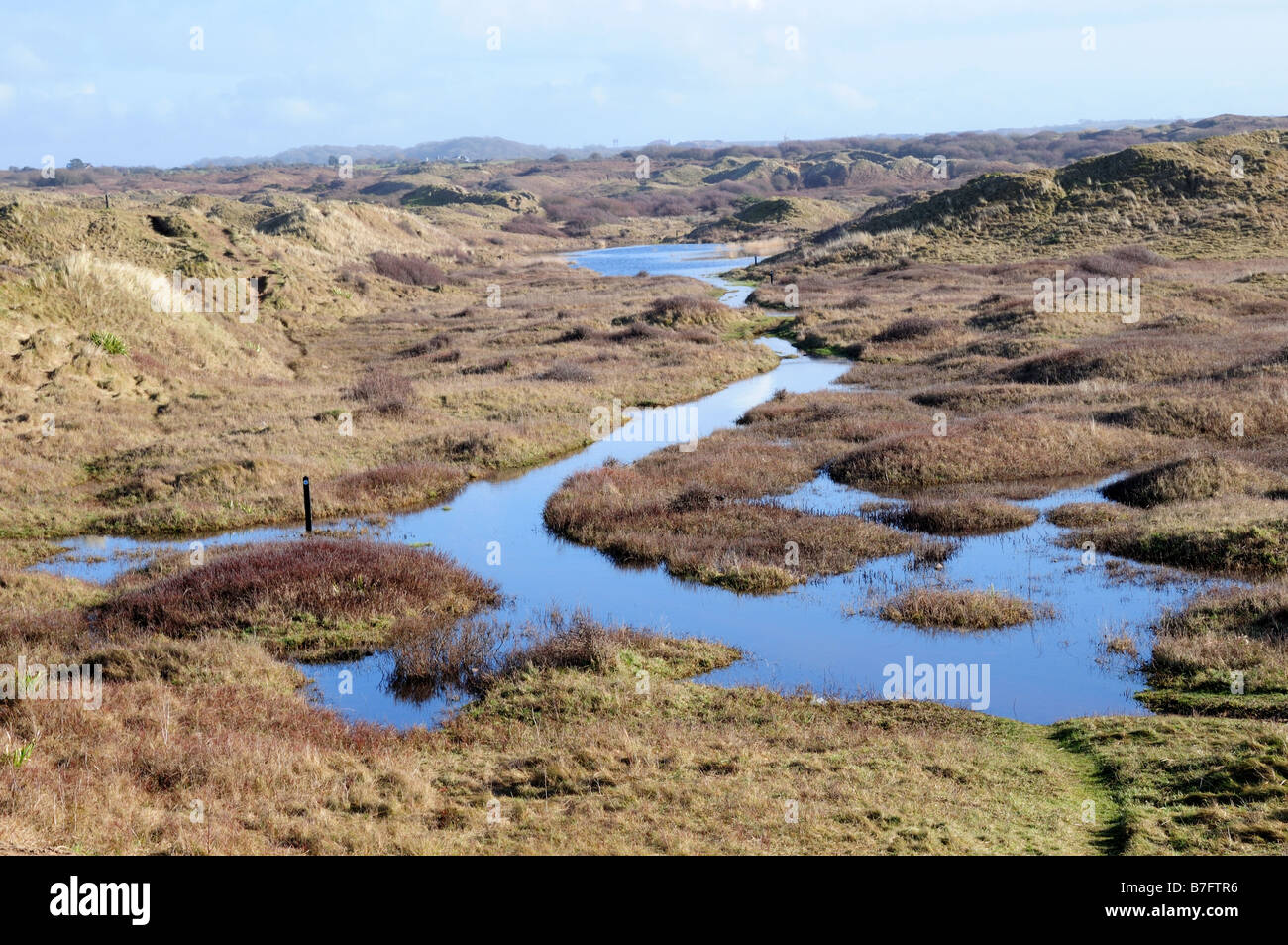 Dune system Kenfig National Nature Reserve Mid Glamorgan Wales Stock ...