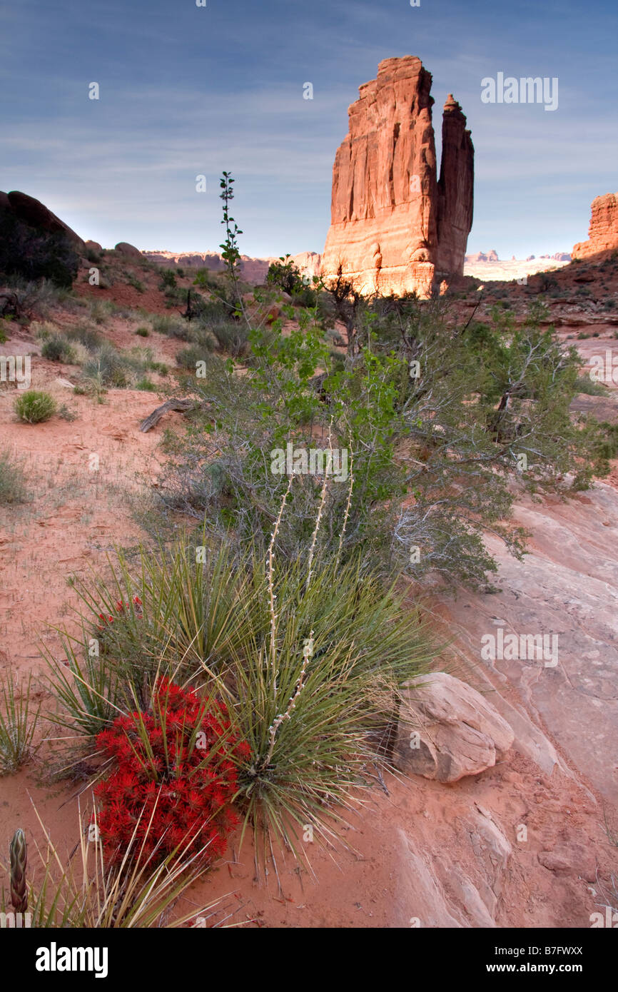 Courthouse Towers above Park Avenue in Arches National Park Utah Stock Photo