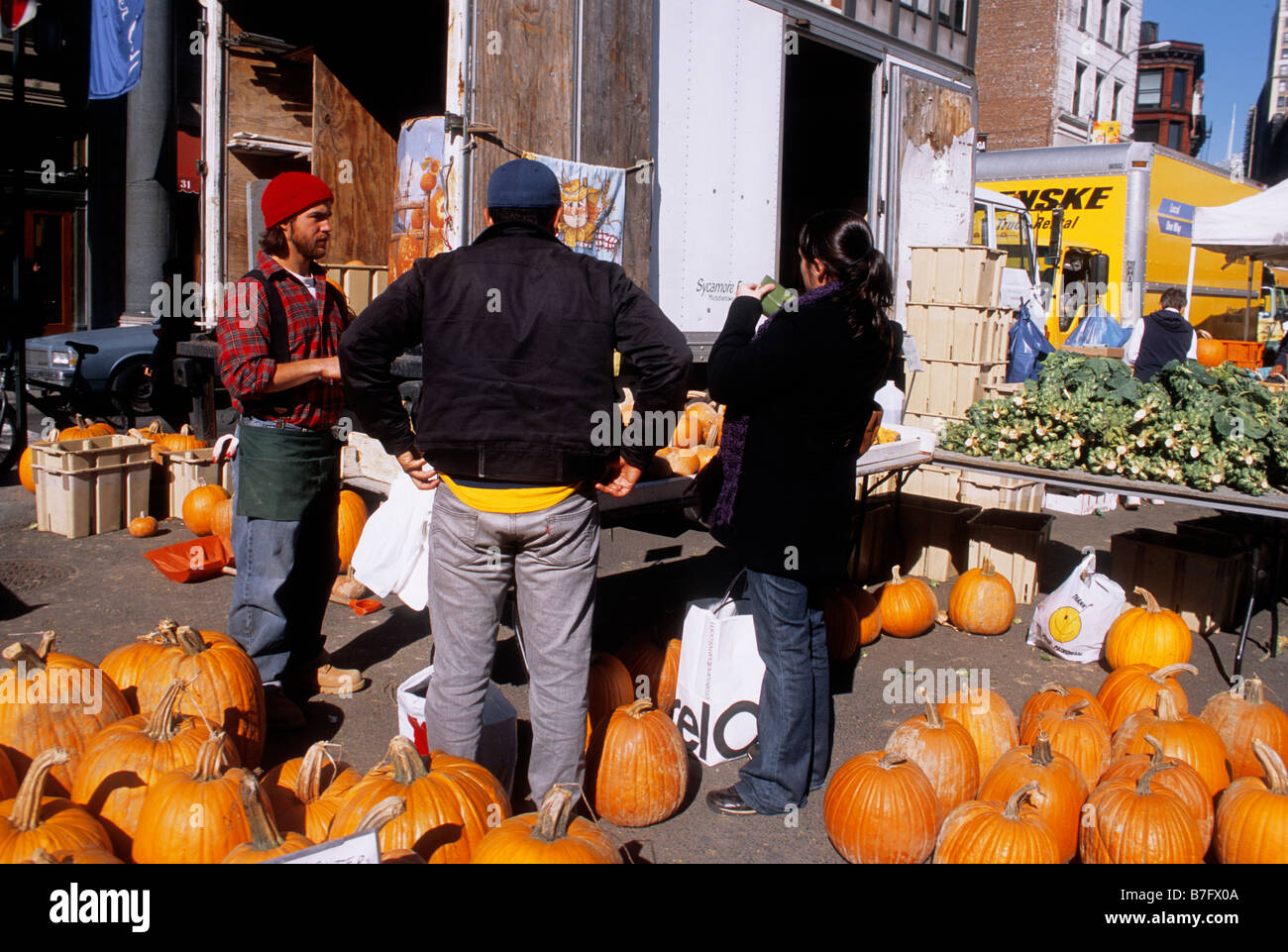 Pumpkin sales at New York City Union Square Green Market. Selling pumpkins on the street from a truck in the Flatiron District. USA Stock Photo