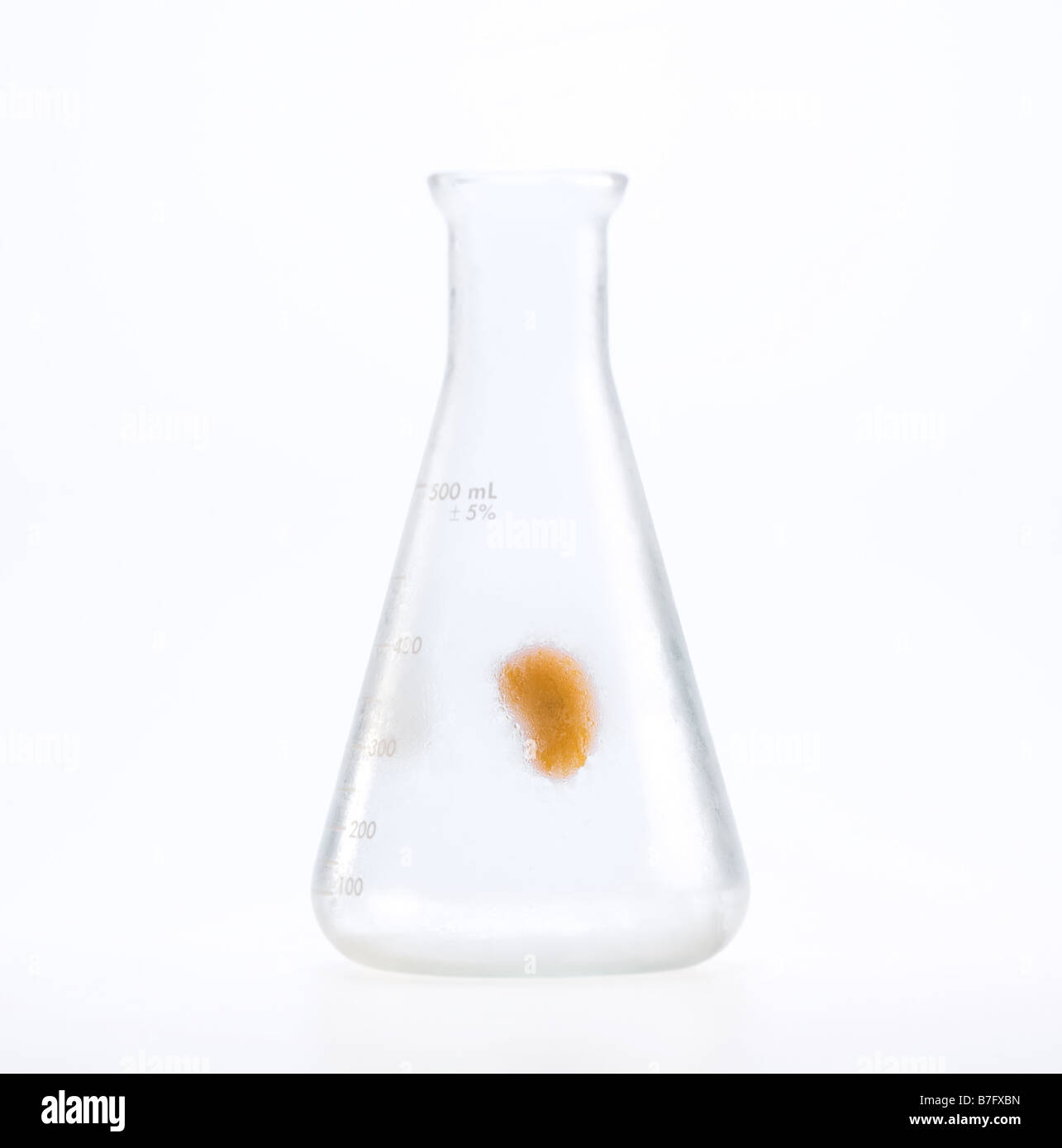 Yellow seed in a cold laboratory flask Stock Photo