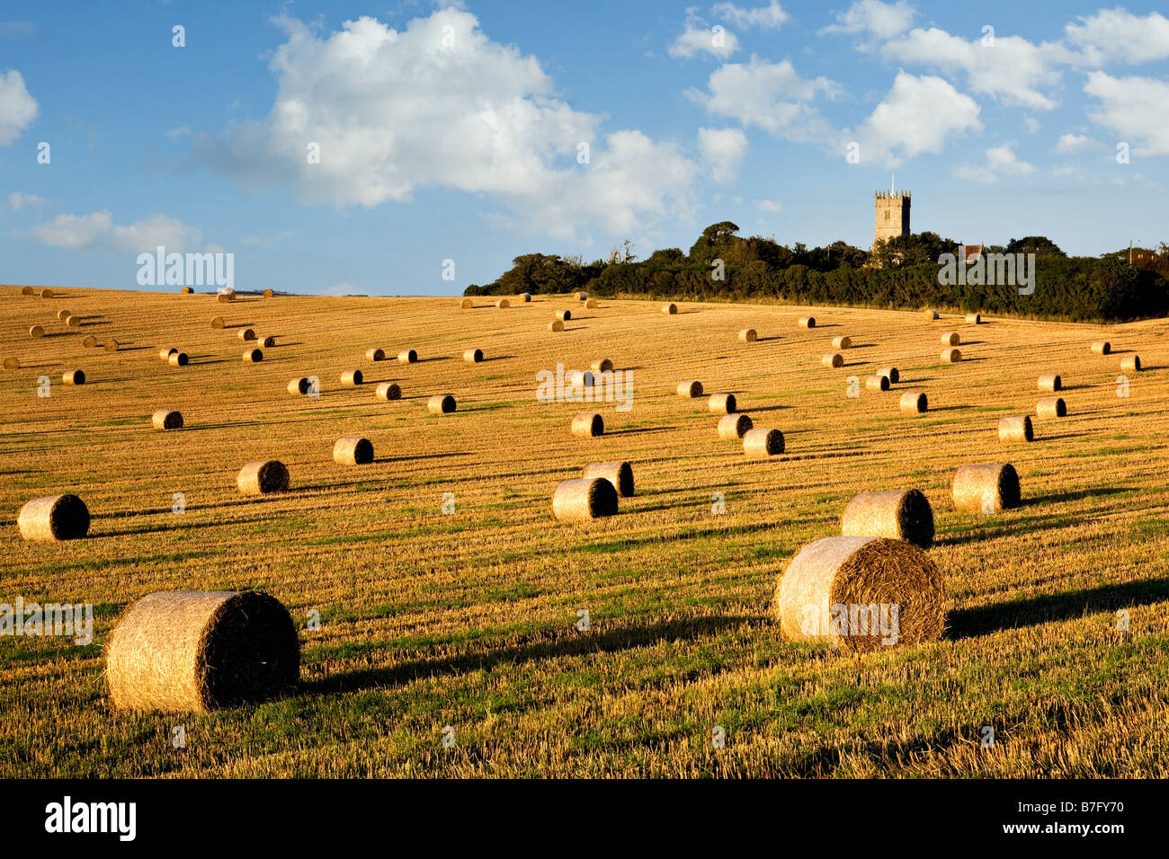 Straw bales, Godshill, Isle of Wight Stock Photo Alamy
