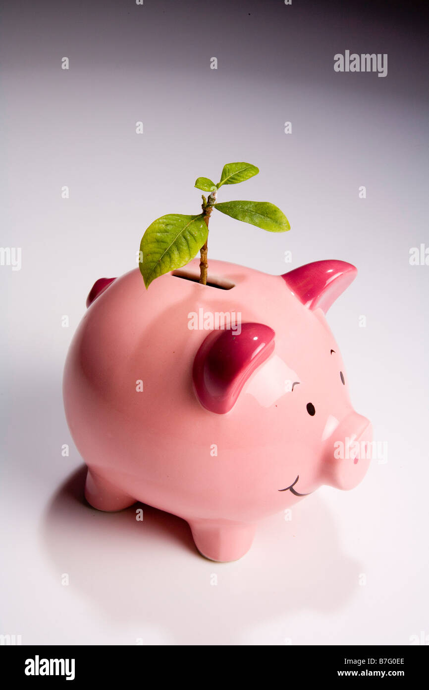 Green shoots of financial Recovery Stock Photo