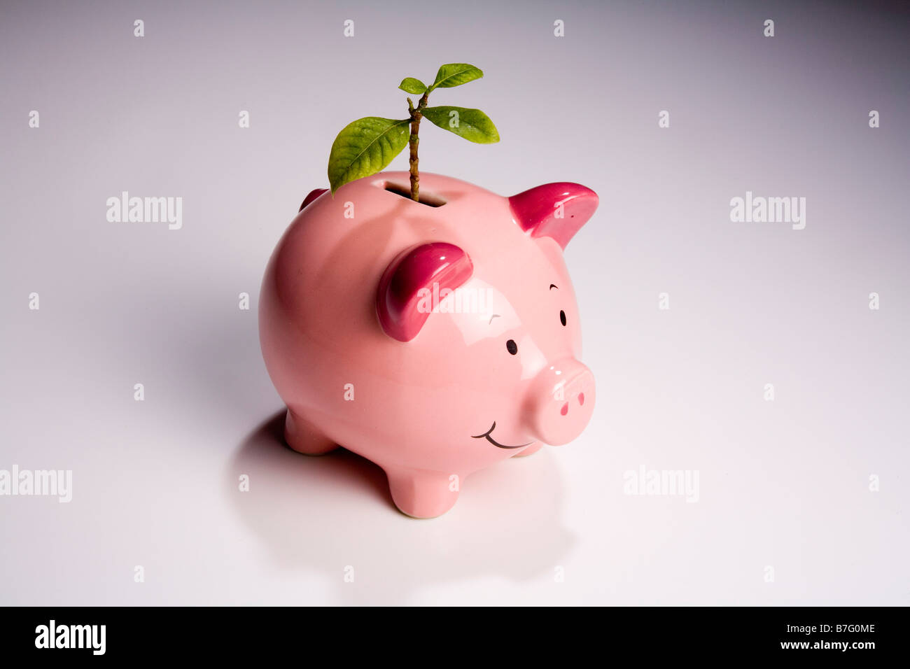 Green shoots of financial Recovery Stock Photo