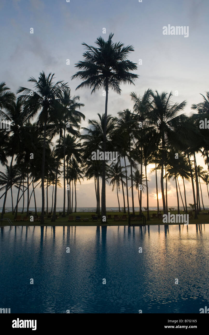 Palm tree silhouettes at sunset in Sri Lanka reflected into a large swimming pool Stock Photo