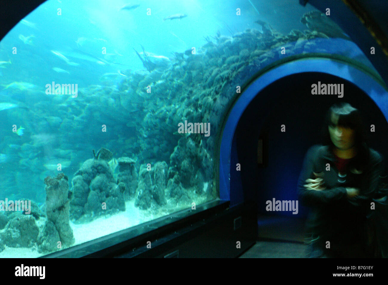 World's Deepest aquarium tunnel at The Deep in Hull Stock Photo - Alamy