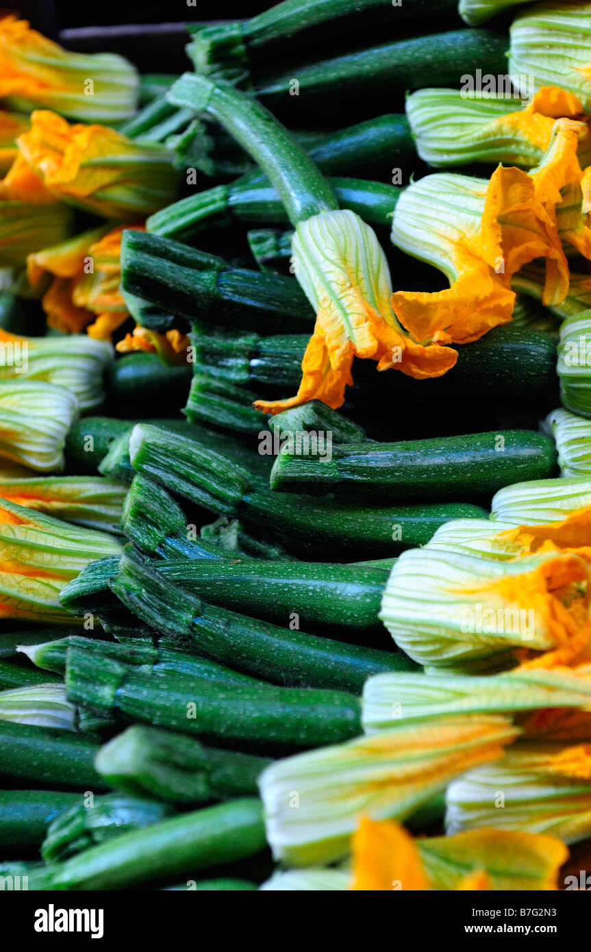 Close up of courgettes and courgette flowers Stock Photo Alamy