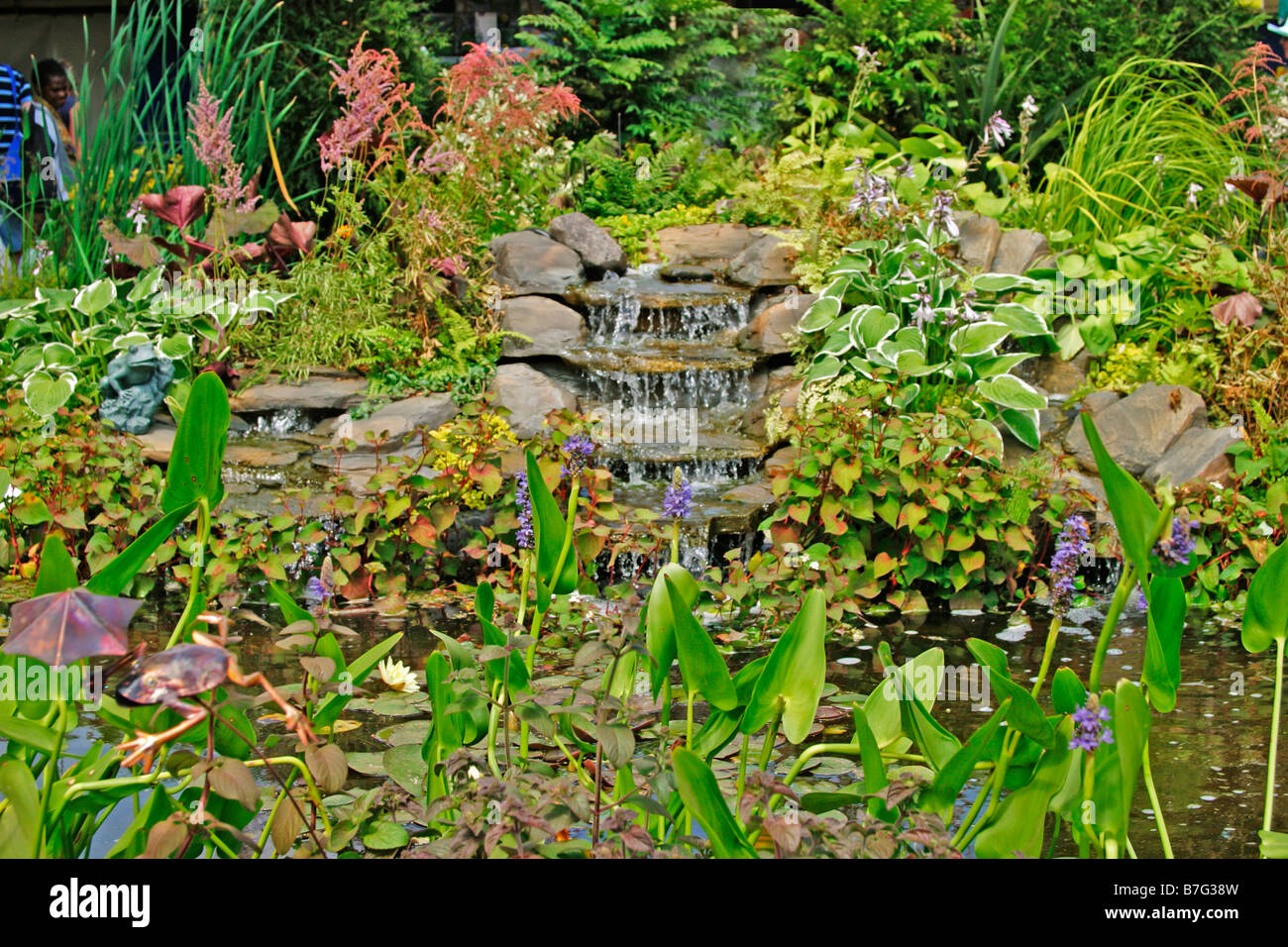 Waterfall plants hi-res stock photography and images - Alamy