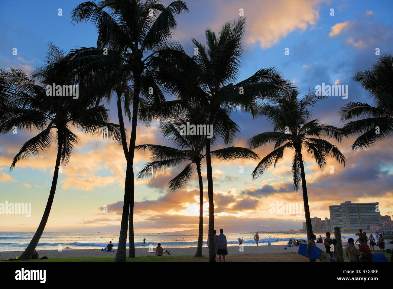 Dramatic silhouette palm trees hi-res stock photography and images - Alamy