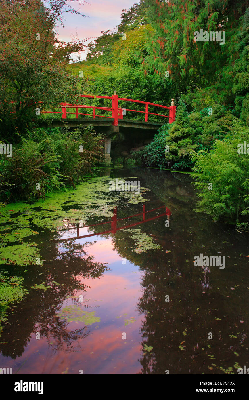 Footbridge across pond surrounded by maples in fall color, at Kubota Japanese Gardens, Seattle, Washington Stock Photo