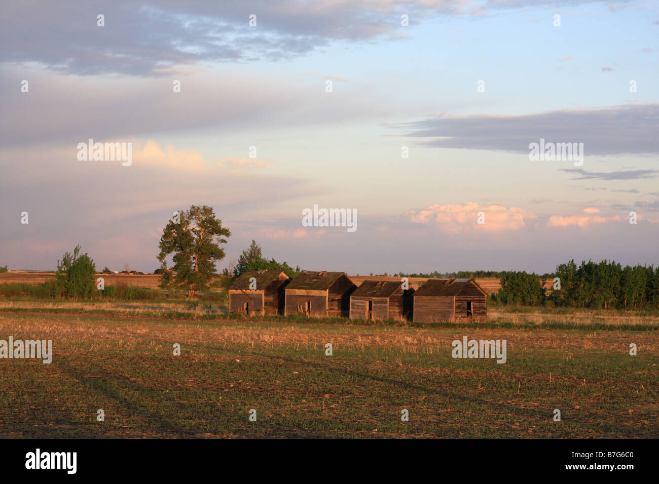 Row rural sheds hi-res stock photography and images - Alamy