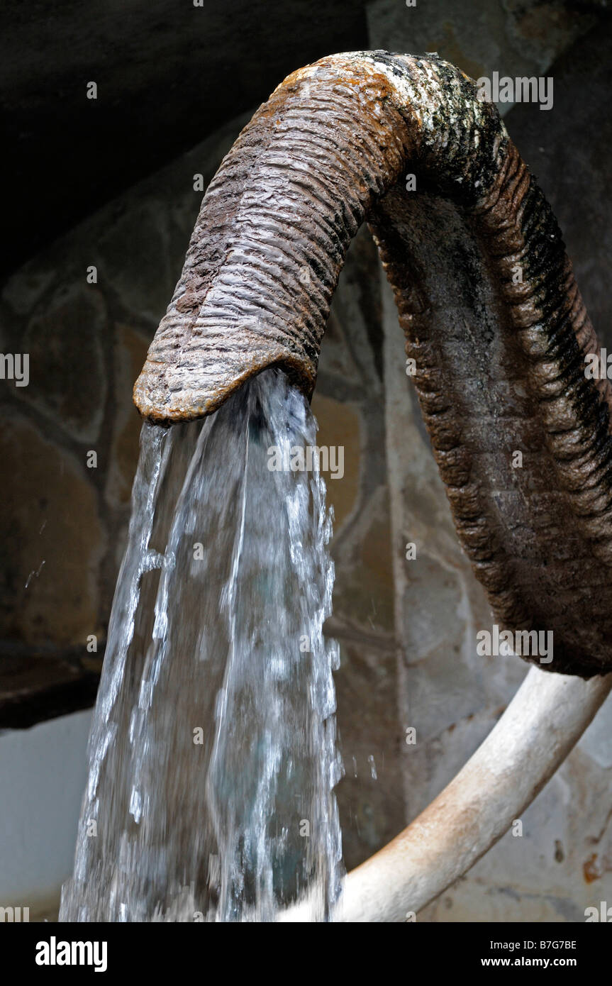elephant trunk fountain water spout unusual different water artificial cascade Stock Photo