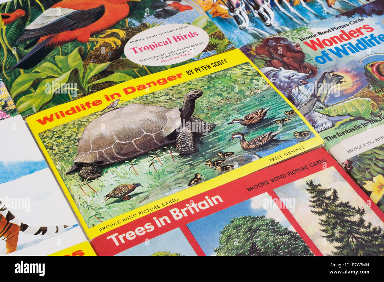 Brooke Bond PG Tips Picture Card Albums Issued By Between 1954 - 1980 ...