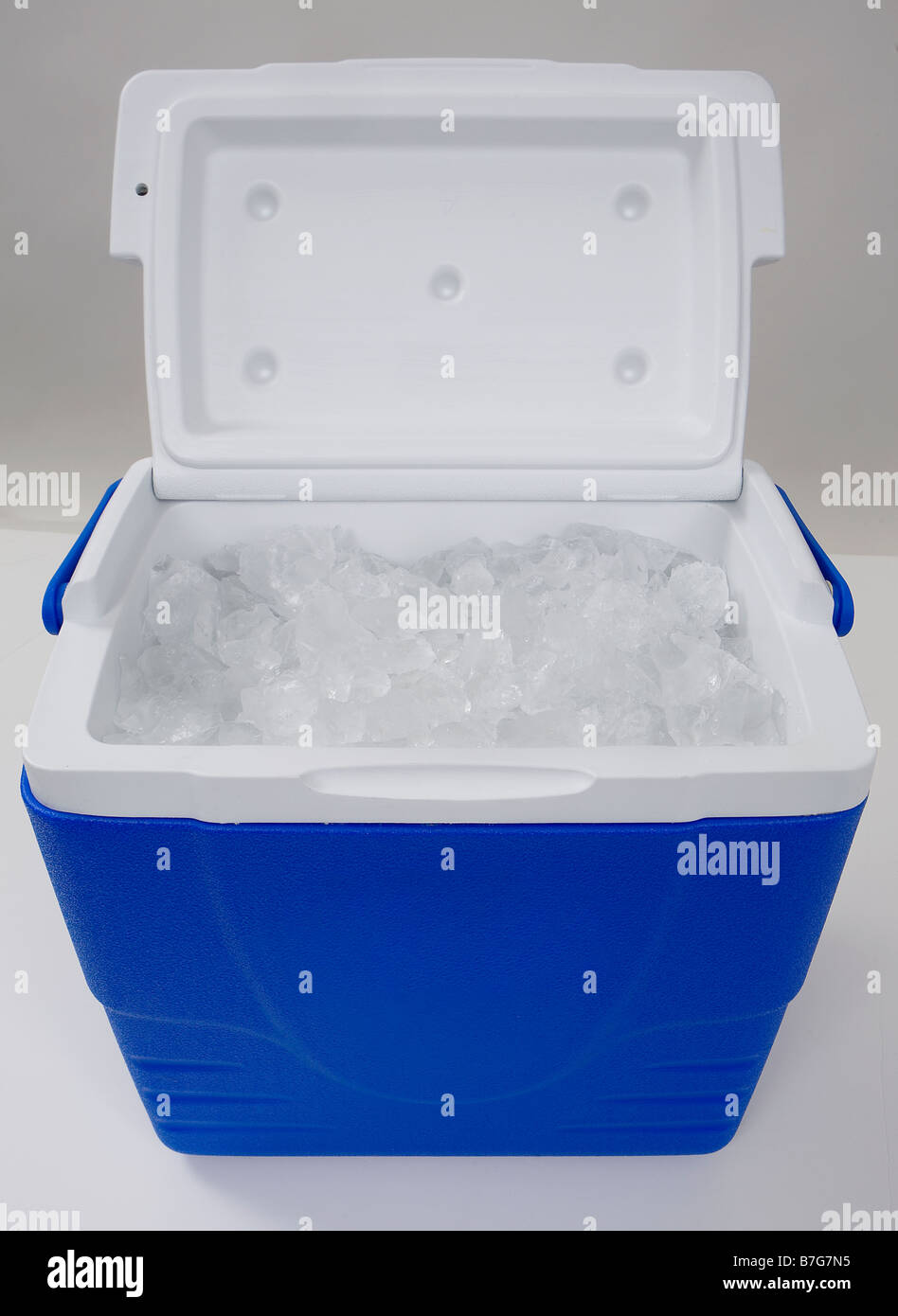 An open, blue cooler or cool-box  filled with only ice shot in a studio on a white background. Stock Photo