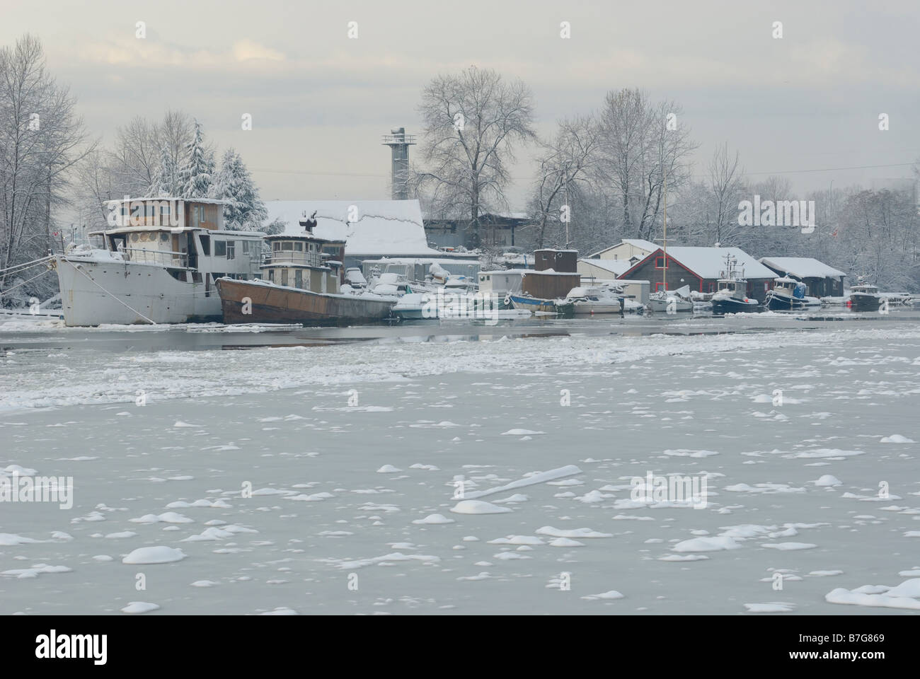 Ice Flows on the frozen Fraser River, British Columbia. Stock Photo