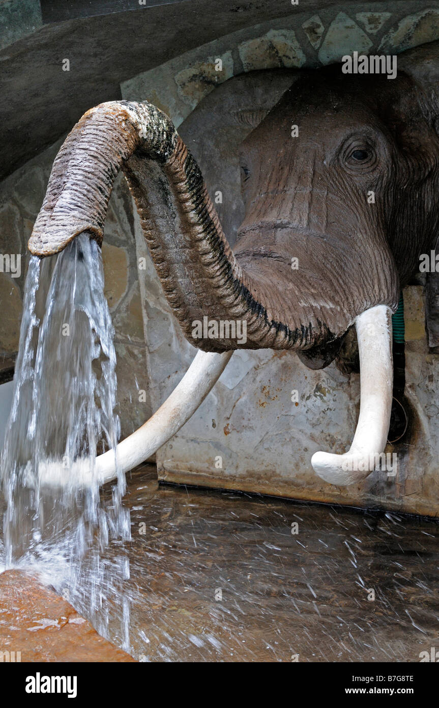 elephant trunk fountain water spout unusual different water artificial cascade Stock Photo