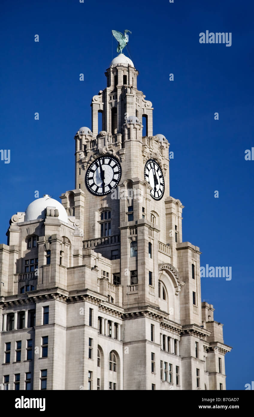 The Liver Building, Pierhead. Liverpool,  Merseyside,England. Showing famous Liver Bird and clock tower close up. Blue Sky Stock Photo