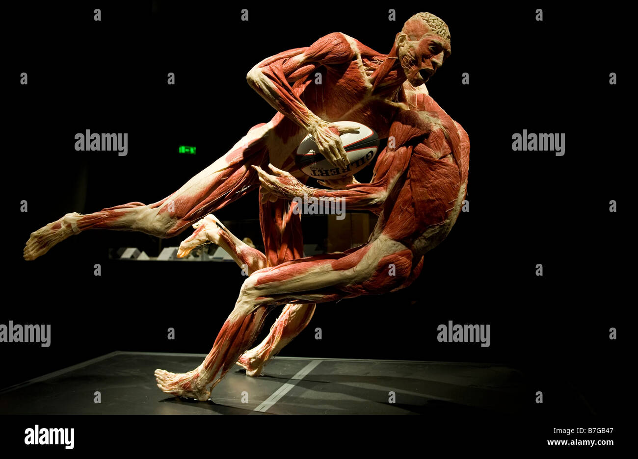 Gunther von Hagens The Body Worlds And The Mirror Of Time controversial exhibition at the O2 Arena in Greenwich, London Stock Photo