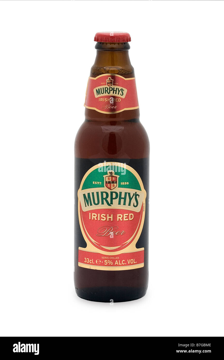 Murphy red irish beer Ireland dark dizzy amber color refresh hops made  Stock Photo - Alamy