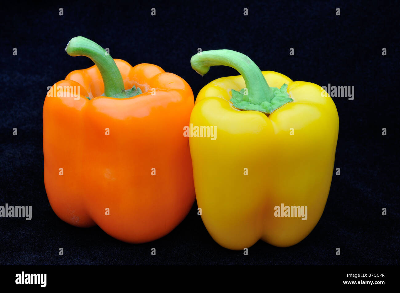 Orange and Yellow Peppers on Black background Stock Photo Alamy