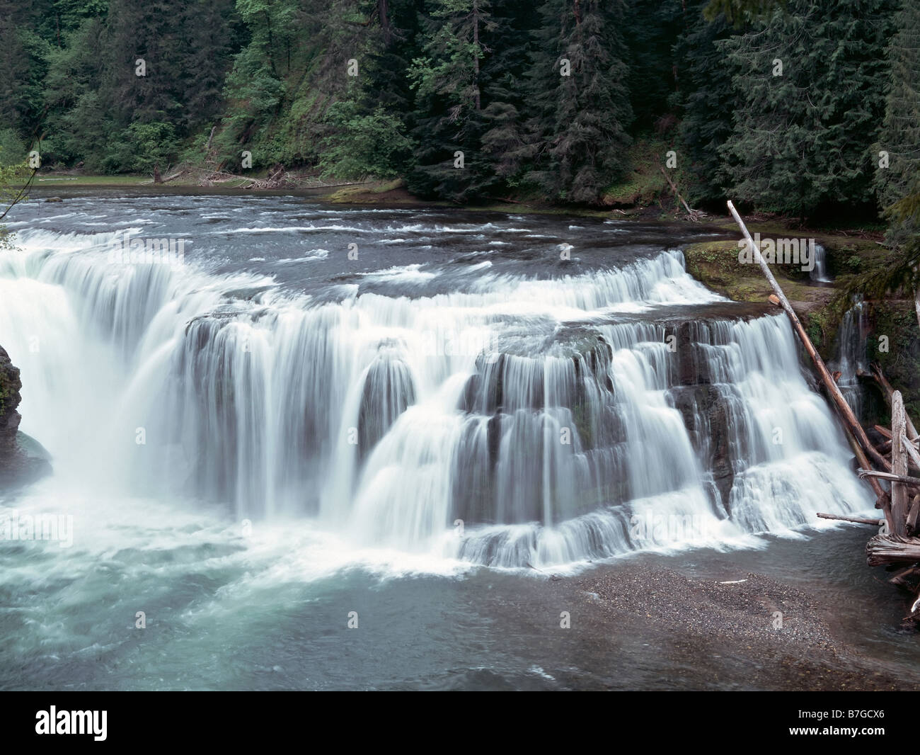 Lower Lewis Falls in the Lewis River Gifford Pinchot National Forest