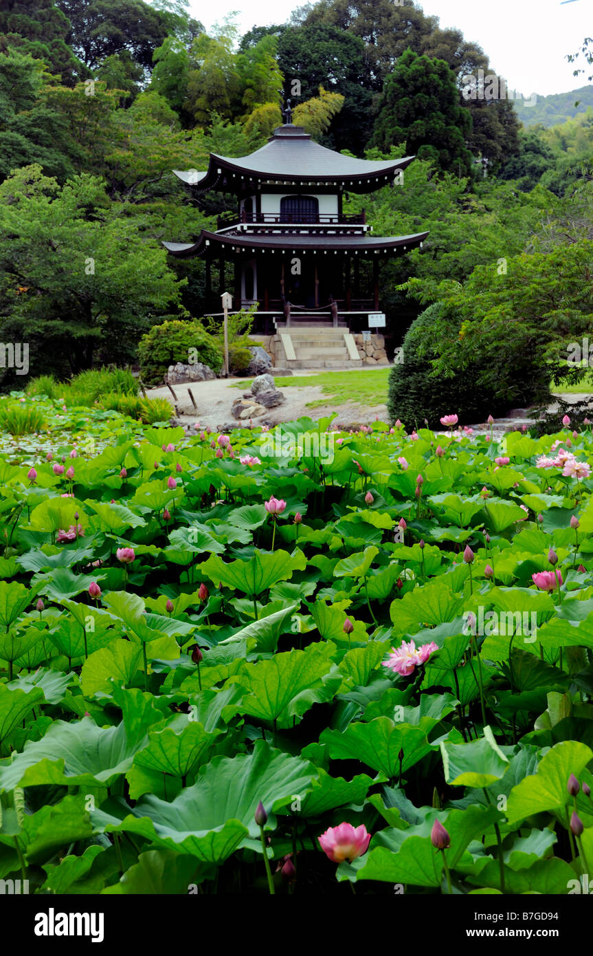 Lotus flower building hires stock photography and images Alamy
