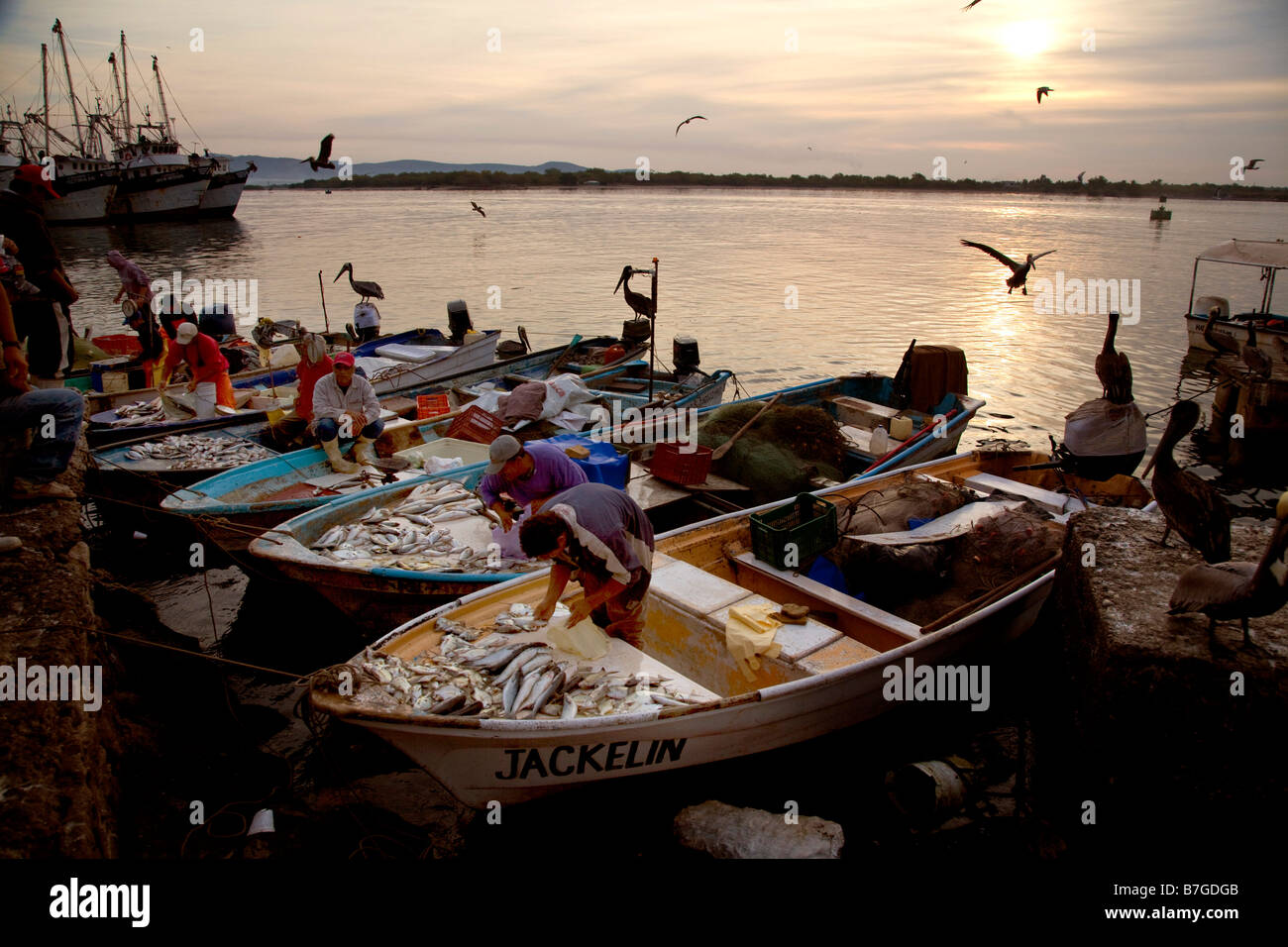 Fish Market Old Town Mazatlan Sinaloa Mexico Stock Photo Alamy