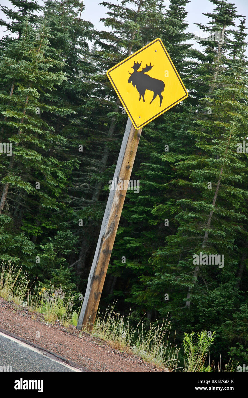 a road sign for moose Stock Photo - Alamy
