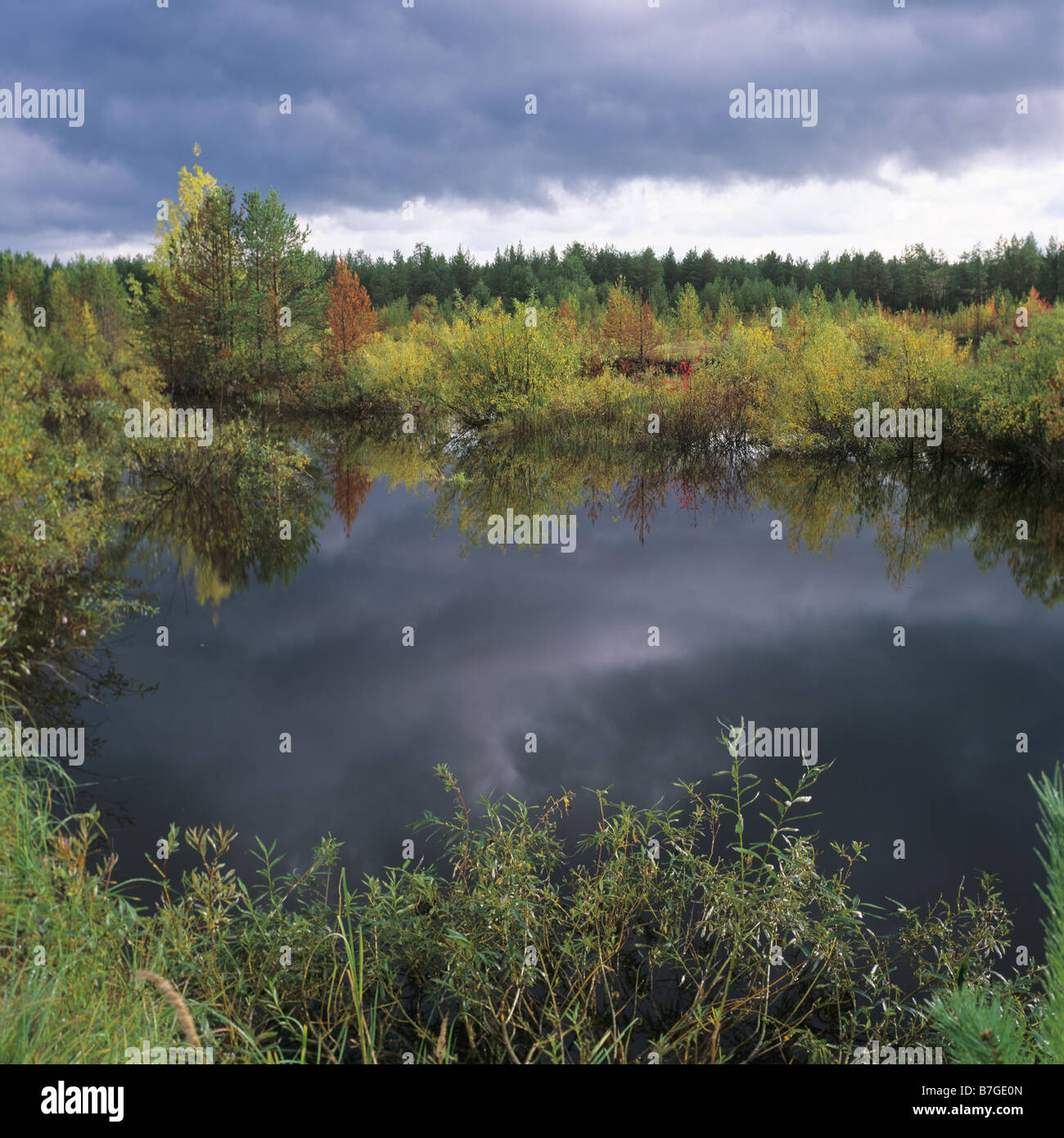 Russia komi hi-res stock photography and images - Alamy