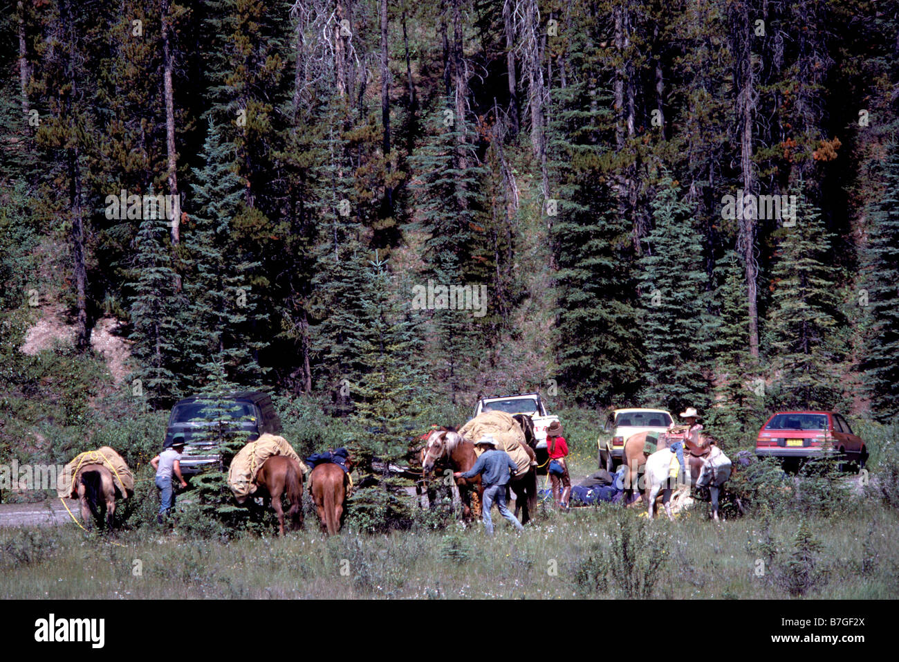 Horse Trekking, packing Horses for Horseback Riding Trip, Banff