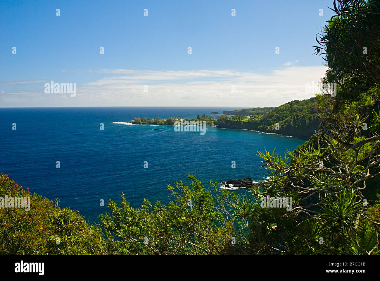 lush green tropical foliage with blue sky and pacific ocean water Stock Photo
