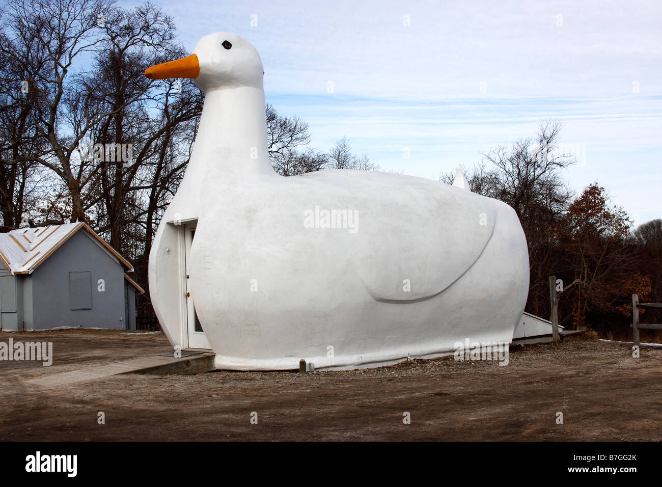 The Big Duck, a monument to the Long Island, New York duck farming industry Stock Photo