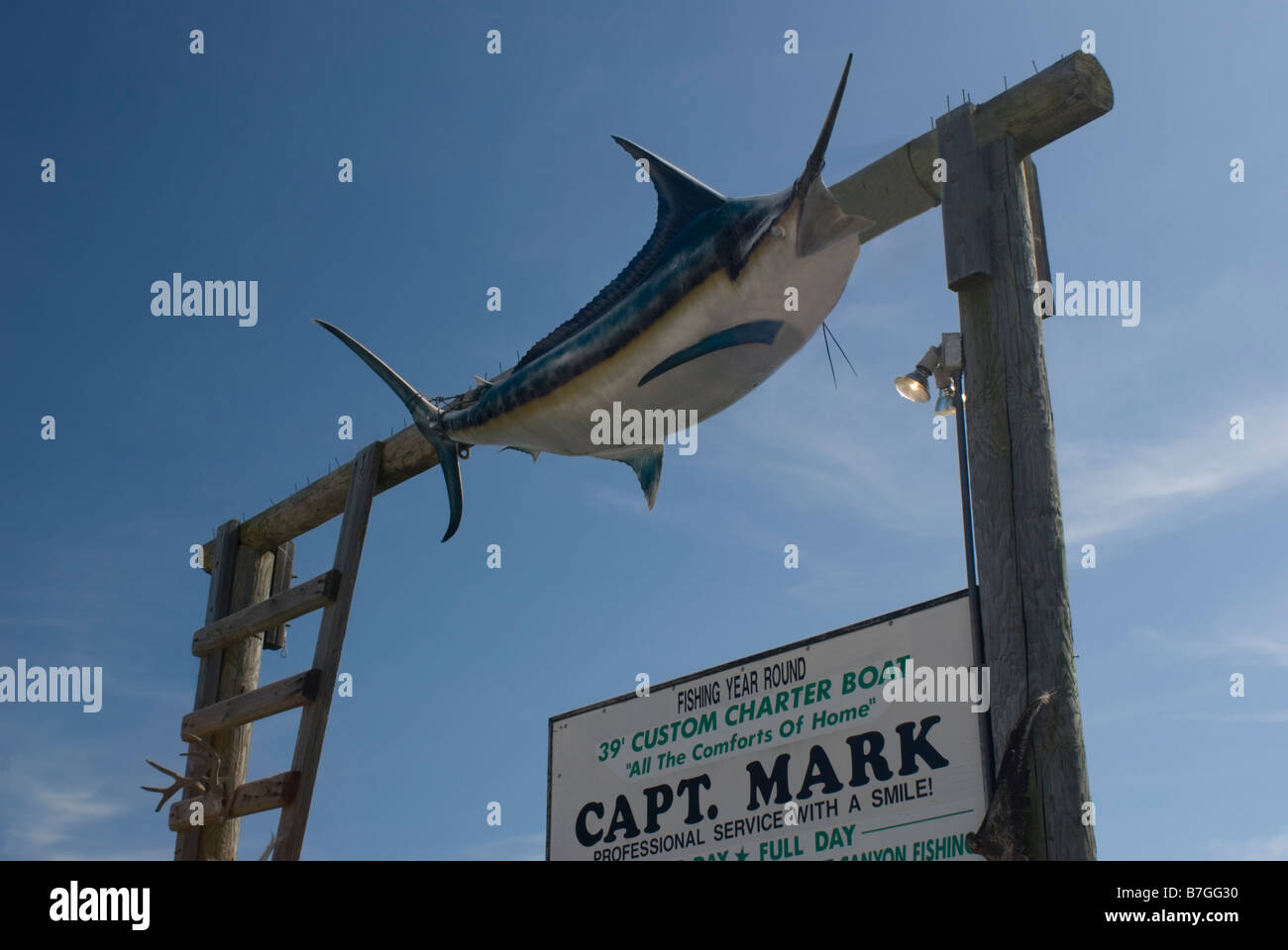 Charter fishing boat dock, Montauk Harbor, Long Island, New York, USA