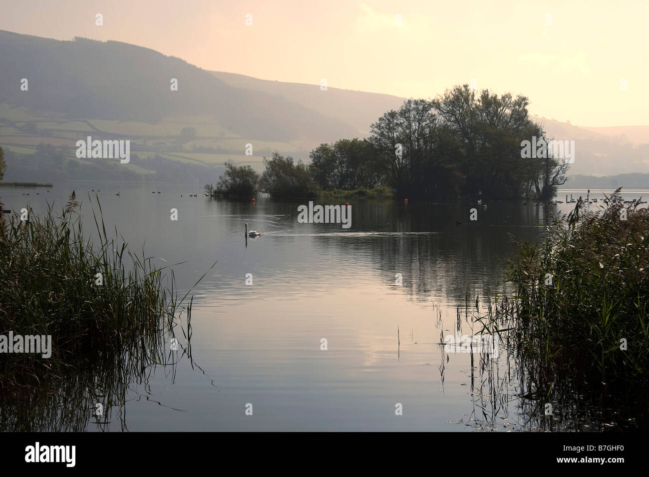 llangorse lake llangors powys brecon beacons national park wales uk Stock Photo Alamy
