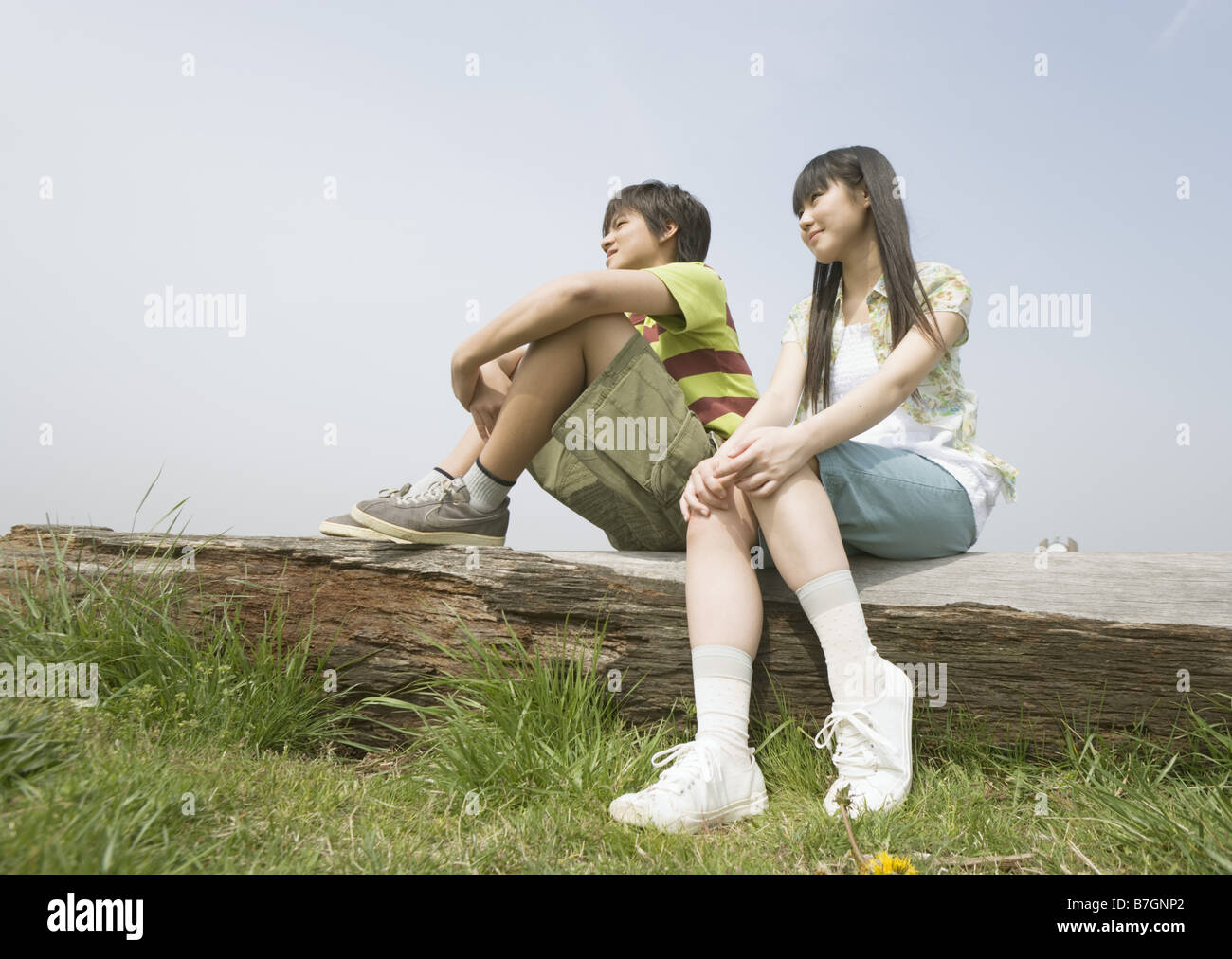 Boy and girl sitting on the lying tree in the field Stock Photo - Alamy