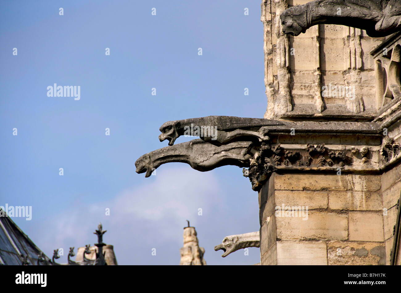 Gargoyles of Notre Dame de Paris Stock Photo