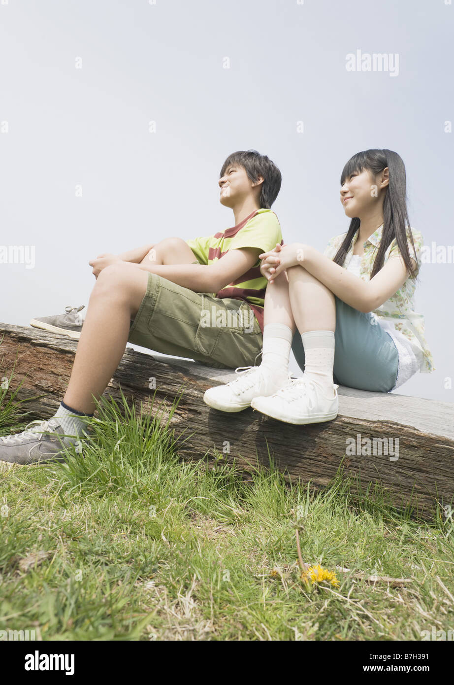 Boy and girl sitting on the lying tree in the field Stock Photo - Alamy