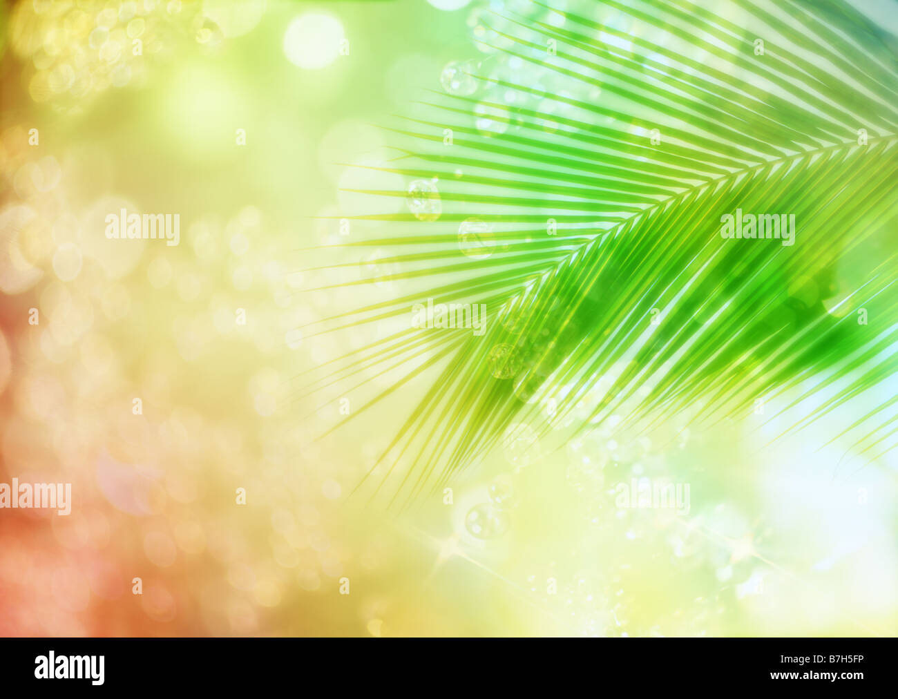 Tropical resort graphics hi-res stock photography and images - Alamy